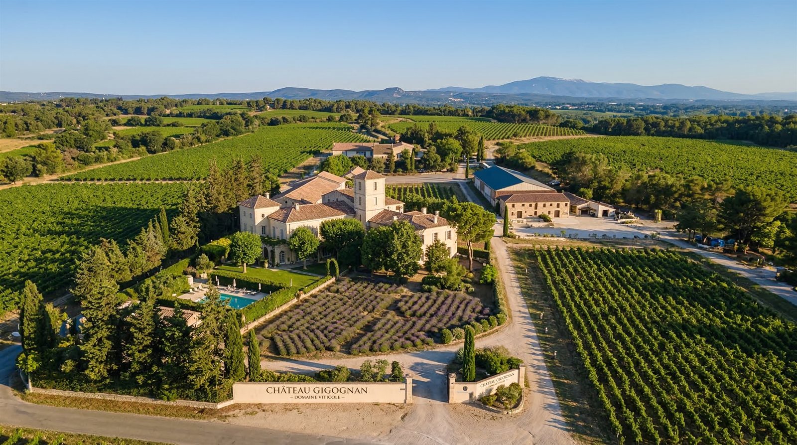Vignoble
